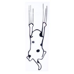 Pegatina para el parachoques TIAKI «Gato arañando» - 16 x 5 cm (An x Al)