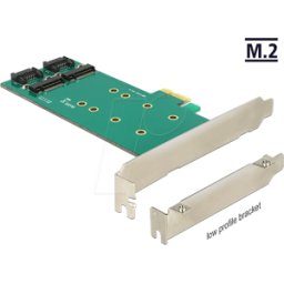 DELOCK 89473 - Tarjeta PCI Converter > 2 x M.2 a SATA