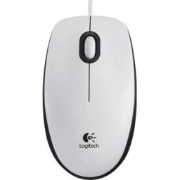 LOGITECH B100 WS - Ratón (ratón), cable, USB, blanco