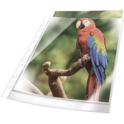 DURABLE 265402 - Fundas de folletos, a4, transparente, blanco, 10 unidades