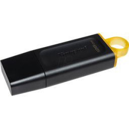 KINGSTON DTX/128GB - Memoria USB, 128 GB USB3.2 Gen1 DataTraveler Exodia