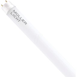 MÜLLER LICHT MLI 400110 - Tubo LED T8, 21,8 W, 2400 lm, 3000 K, 1500 mm, vidrio