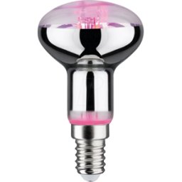 PAULMANN PLM 28734 - Foco de filamento LED Grow Green E14, 4 W, 100 lm, 1300 K..