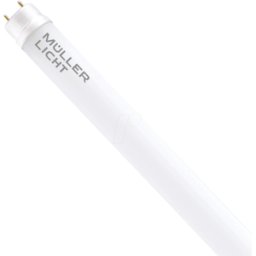 MÜLLER LICHT MLI 400116 - Tubo LED T8, 16,5 W, 2000 lm, 6500 K, 12000 mm, vidrio