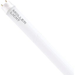 MÜLLER LICHT MLI 400113 - Tubo LED T8, 21,8 W, 2400 lm, 6500 K, 1500 mm, vidrio