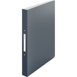 LEITZ 42380089 - Cuaderno de anillas PP 2 anillos, Cosy, gris