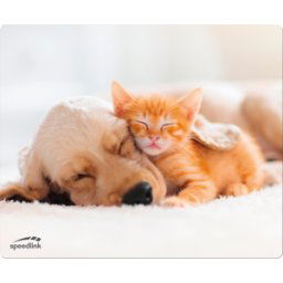 SPEEDLINK SL-620000-DOG - Alfombrilla de ratón, 230 x 190 mm, motivo perro y gato