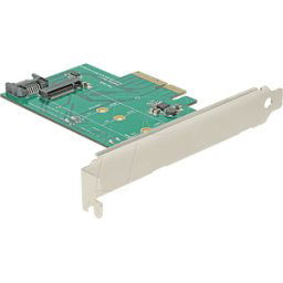 DELOCK 89381 - Convertidor PCIe x4 > 1 x M.2 NGFF