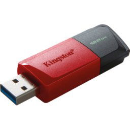 KINGSTON DTXM/128GB - Memoria USB, USB 3,2, 128 GB, DataTraveller Exodia M.