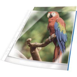 DURABLE 265506 - Fundas de folletos, a4, transparente, azul, 25 unidades