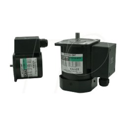 ORIENTAL MOTOR OM AC 25W - Motor CA serie IK, 25 W
