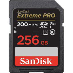SANDISK SDSDXXD256GGN4IN - Tarjeta de memoria SDHX, 256 GB