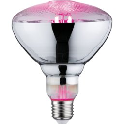 PAULMANN PLM 28737 - Foco de filamento LED Grow Green E27, 6,5 W, 200 lm, 1300 K..
