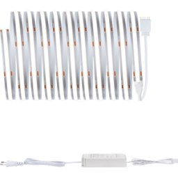 PAULMANN PLM 71124 - Tira de LED MaxLED 500 Juego de Base COB de Línea Complet