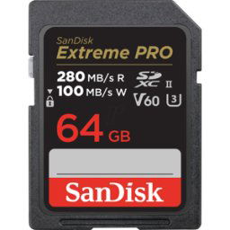 SANDISK SDSDXEP064GGN4IN - Tarjeta de memoria SDHX, 64GB