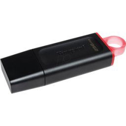 KINGSTON DTX/256GB - Memoria USB, 256 GB USB3.2 Gen1 DataTraveler Exodia