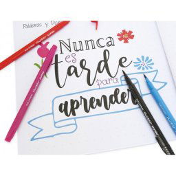 Set de dibujo alpino iniciacion al lettering 12 rotuladores punta fina y punta pincel colores surtidos