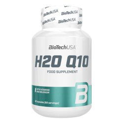 H2O Q10 - 60 cápsulas