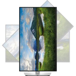 DELL P2425 - Monitor de 61cm, 16:10, USB, pivote