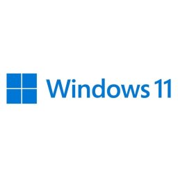 Sistema Operativo Microsoft Windows 11 Pro 64bit ES DVD OEM 1 Licencia