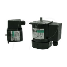 ORIENTAL MOTOR OM AC 40W - Motor CA serie IK, 40 W