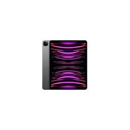 Apple iPad Pro 12.9 6th gen (2022) 1TB WiFi Space