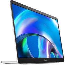 Dell Pro Plus P1425 14" WUXGA IPS 400cd/m² sRGB 100% USB-C Antirreflectante VESA Plata