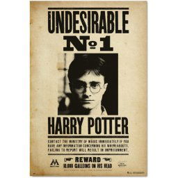 Erik Póster Harry Potter Undesirable N1 91.5x61cm