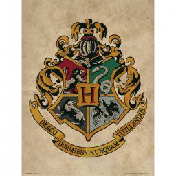 Erik Lámina Harry Potter Blason Hogwarts 40x30cm