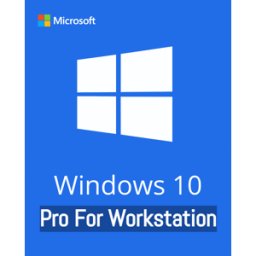 Microsoft Windows 10 Pro Workstation - Licencia de por vida