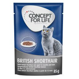 Concept for Life British Shorthair Adult en bolsitas - 24 x 85 g