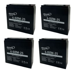 Kit de 4 Baterías de Tracción VT Industrial 6DZM25 48V 25Ah