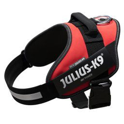 Arnés Julius-K9 IDC®-Power rojo para perros - L: Contorno de pecho 63 - 85 cm