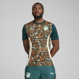 Puma Camiseta de hombre de entrenamiento Costa de Marfil 2024-2025 . Naranja S