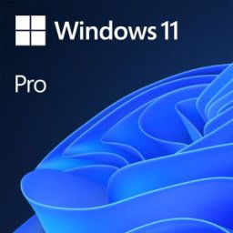 Microsoft Windows 11 Pro 64 bits, Descarga Digital, 1 PC.