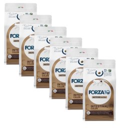 Forza 10 Active Line - Intestinal Colon con pescado - 2,4 kg (6 x 400 g)