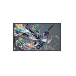Monitor profesional Philips 50BDL3511Q/00 50" 4K UHD Direct-LED 500cd/m² VA 18/7 HDR