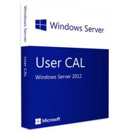 Microsoft Windows Server 2012 10 Cals De Usuario