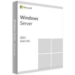 Microsoft Windows Server 2022 - 10 Licencias Cal De Usuario