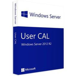 Microsoft Windows Server 2012 R2 10 Cals De Usuario