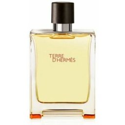 Hermès Agua de Colonia Terre D' 200mL