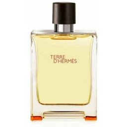 Hermès Agua de Colonia Terre D' 100mL
