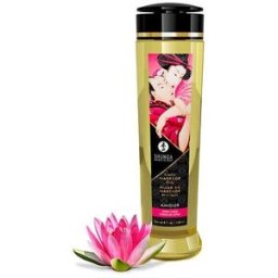 Shunga Aceite de Masaje Erótico Amor 240ml