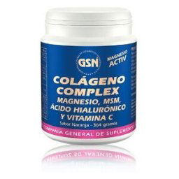 GSN Colágeno Complex 364g