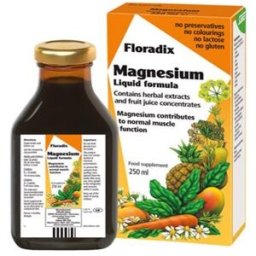 SALUS FLORADIX Bebida Mineral de Magnesio 250Ml