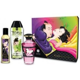 Shunga Kit Fruity Kisses Collection