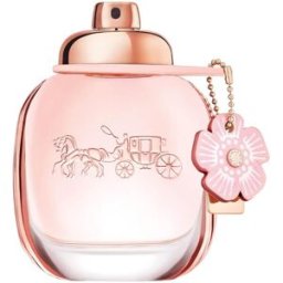Coach Agua de perfume Floral Mujer 50mL