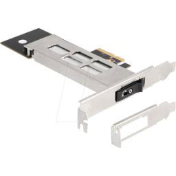 DELOCK 47028 - Marco extraíble PCIe para 1x M.2 NVMe SSD, bloqueo