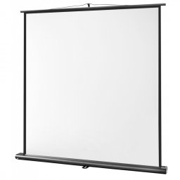 Celexon Ultramobile Professional Pantalla de Proyección 120x120cm