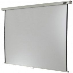 Celexon Professional Pantalla de Proyección Manual 97" 180x180cm